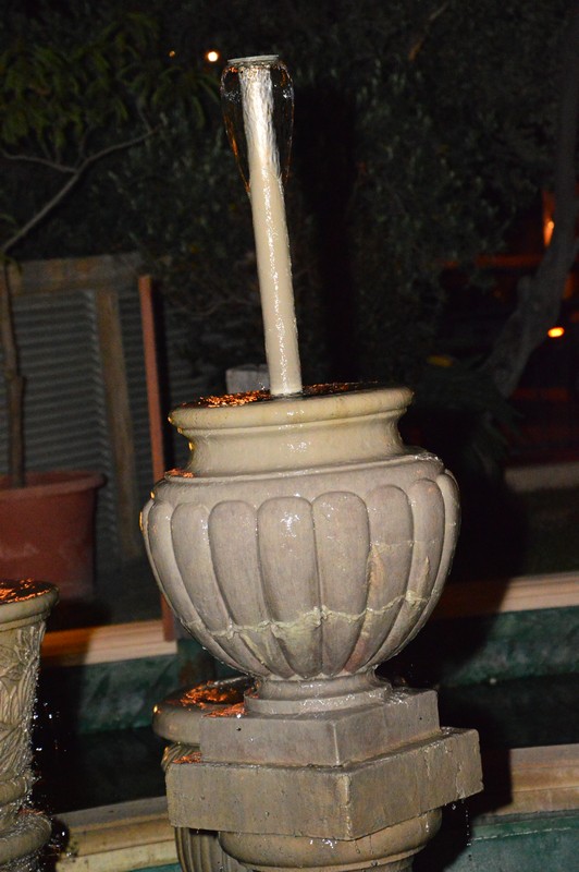 Buffet Nights at Venezia